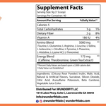 Energized Aminos, Powder, 40 Servings