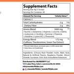 Energized Aminos, Powder, 40 Servings