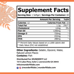 Omega 3 Fish Oil, Softgels, 60 Servings